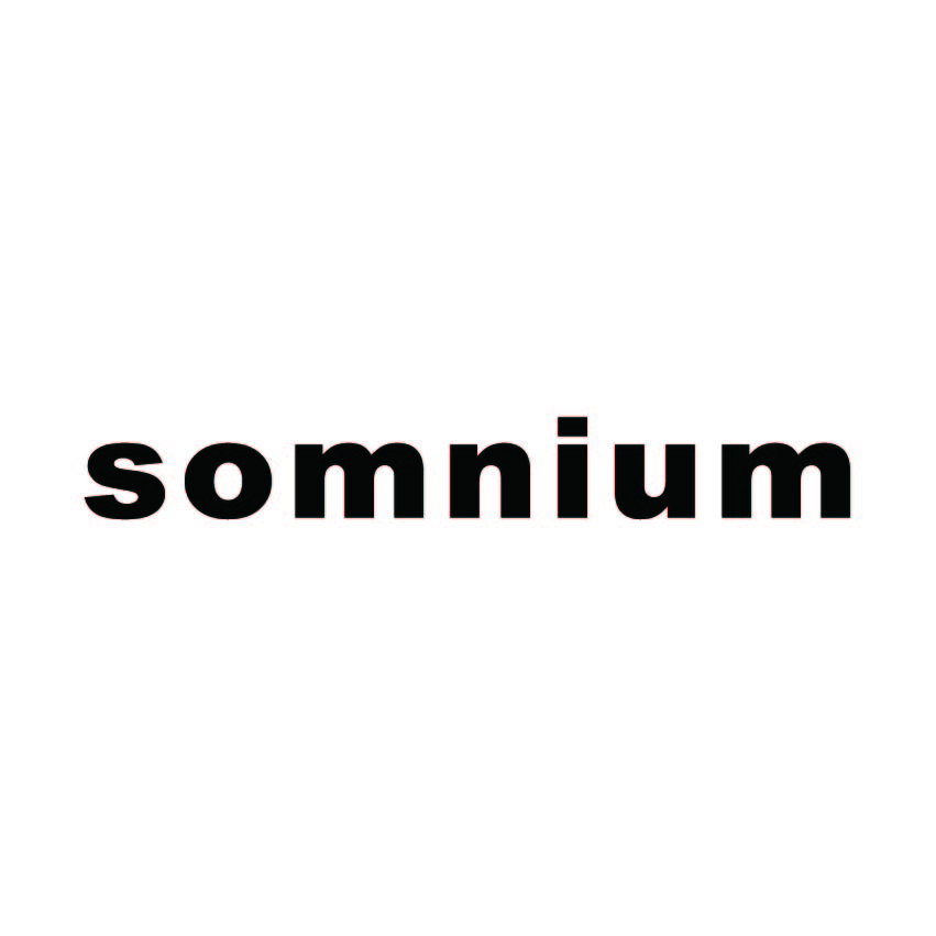 somnium-web.com